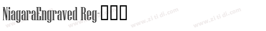 NiagaraEngraved Reg字体转换